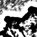 Pencil Sketch 004